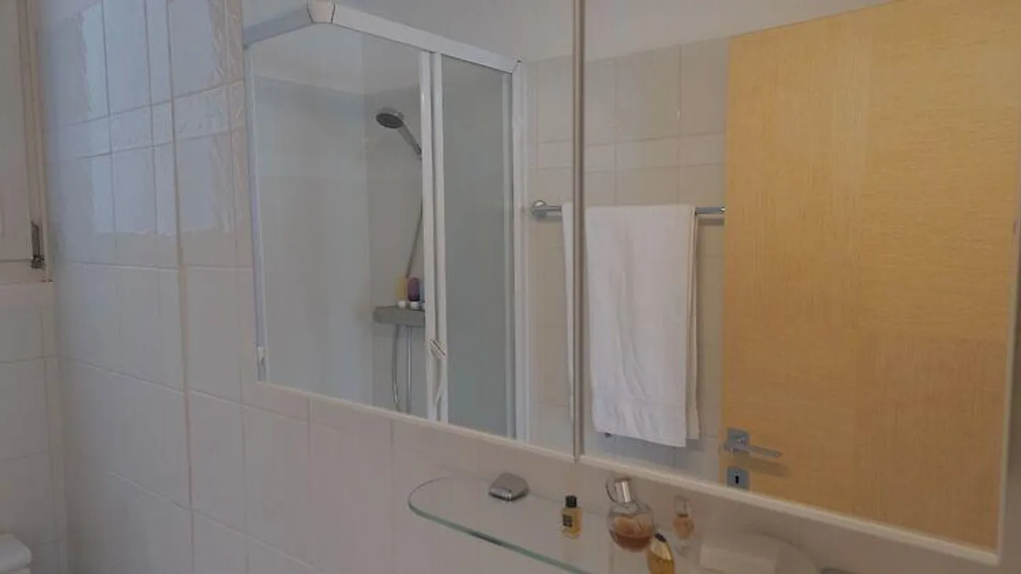 3 ZI-WOHNUNG IN ALDESAGO (TI), MÖBLIERT, TEMPORÄR - Photo 8 sur 10