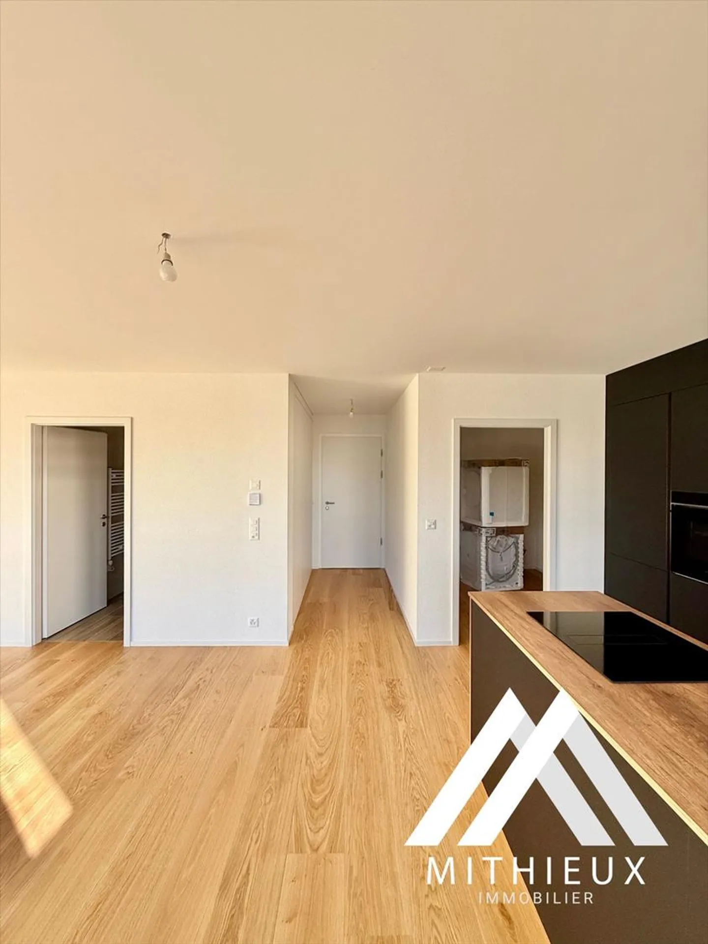 NEW PENTHOUSE OF 3.5 ROOMS, 112 M2 + PRIVATE TERRACE - SION - Photo 6 of 13