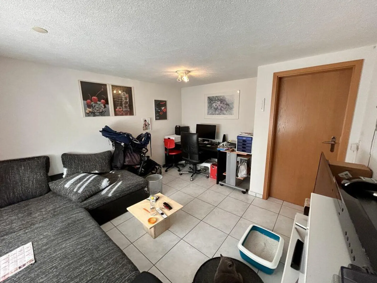 5.5-Zi-Haus mit Umschwung und Bachanstoss - Foto 5 von 16