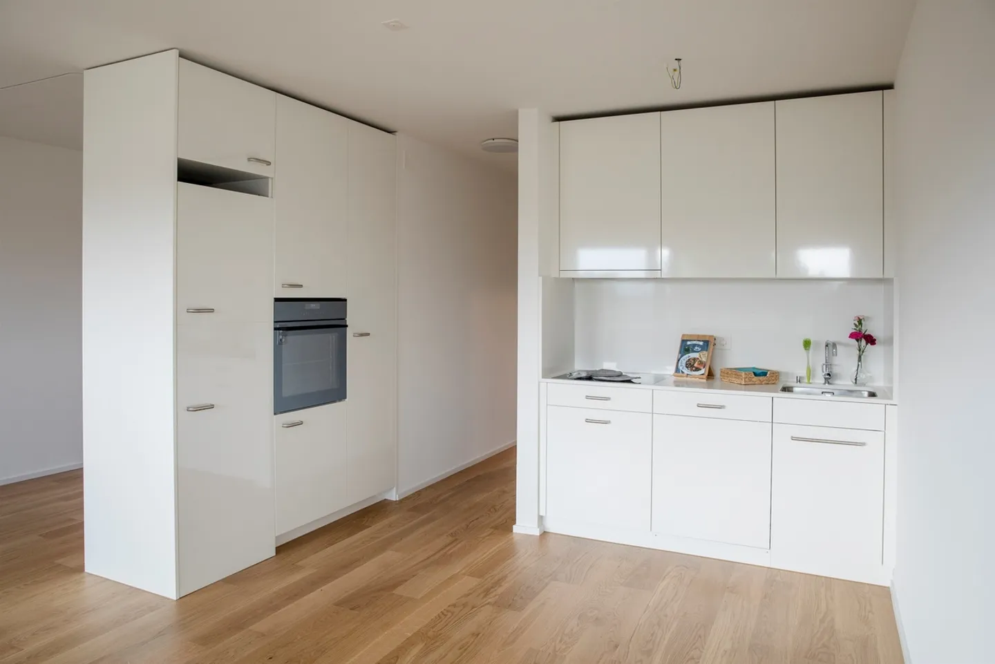 Great Single Apartment in the Rhine Valley! - Photo 2 of 7