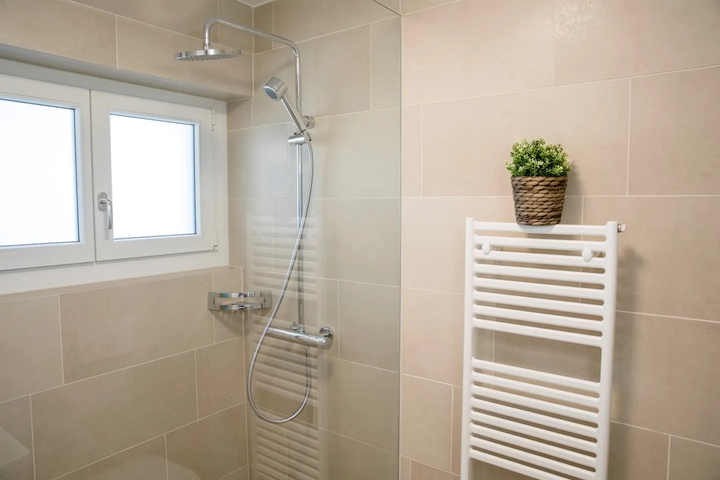 Great Single Apartment in the Rhine Valley! - Photo 4 of 7