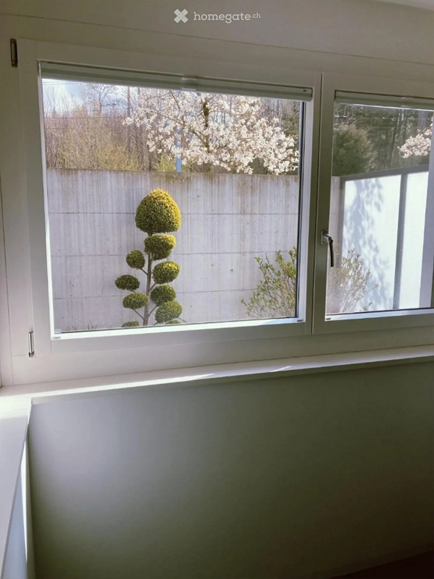 Studio - Photo 11 sur 13