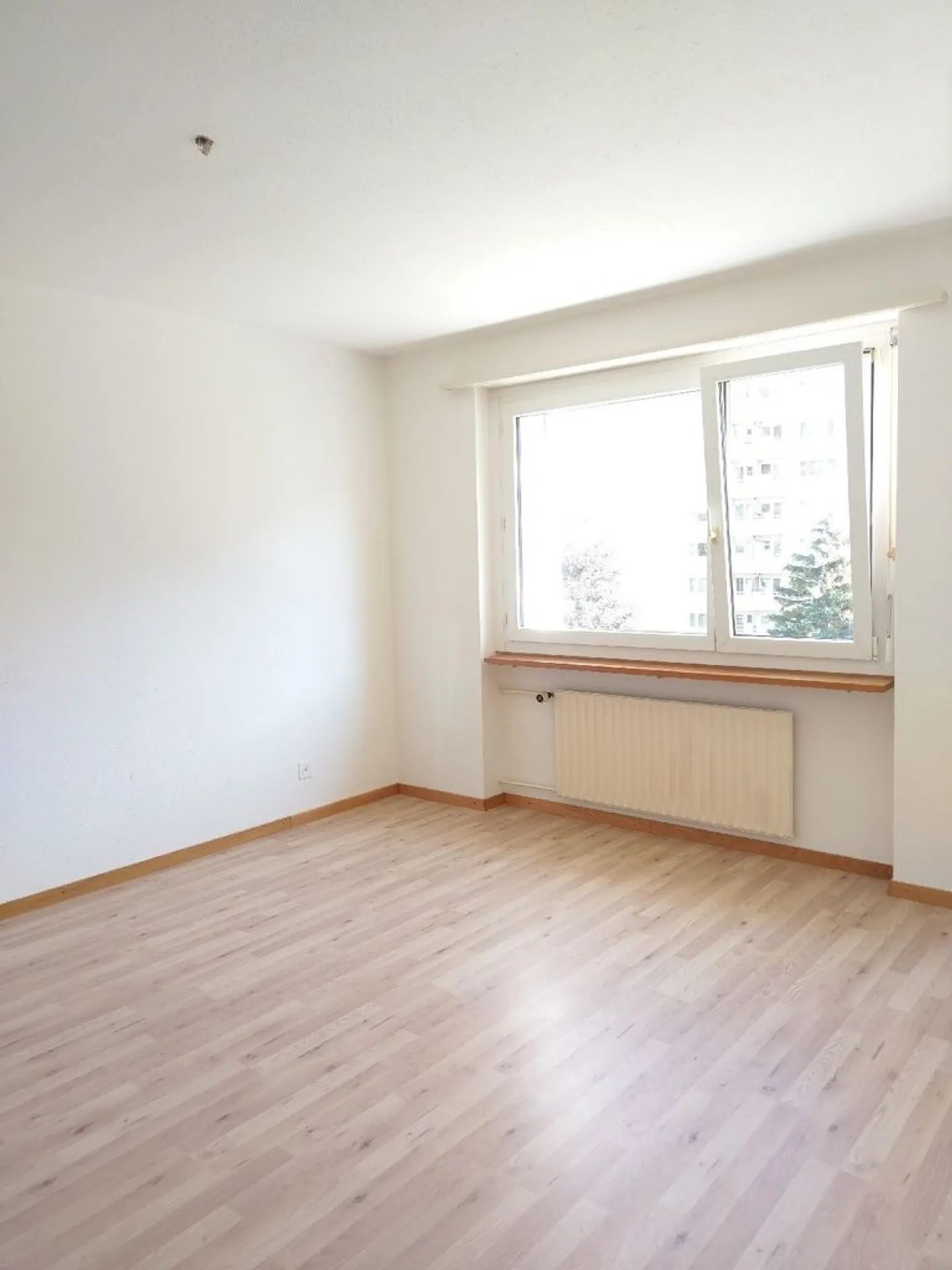 Spacious apartment in the Rhine district - Photo 4 of 6