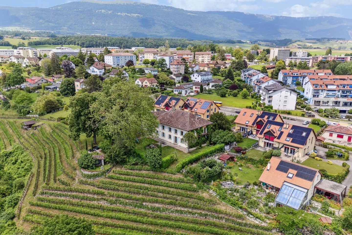 Magnifique domaine historique sur un vignoble ! - Photo 2 sur 13