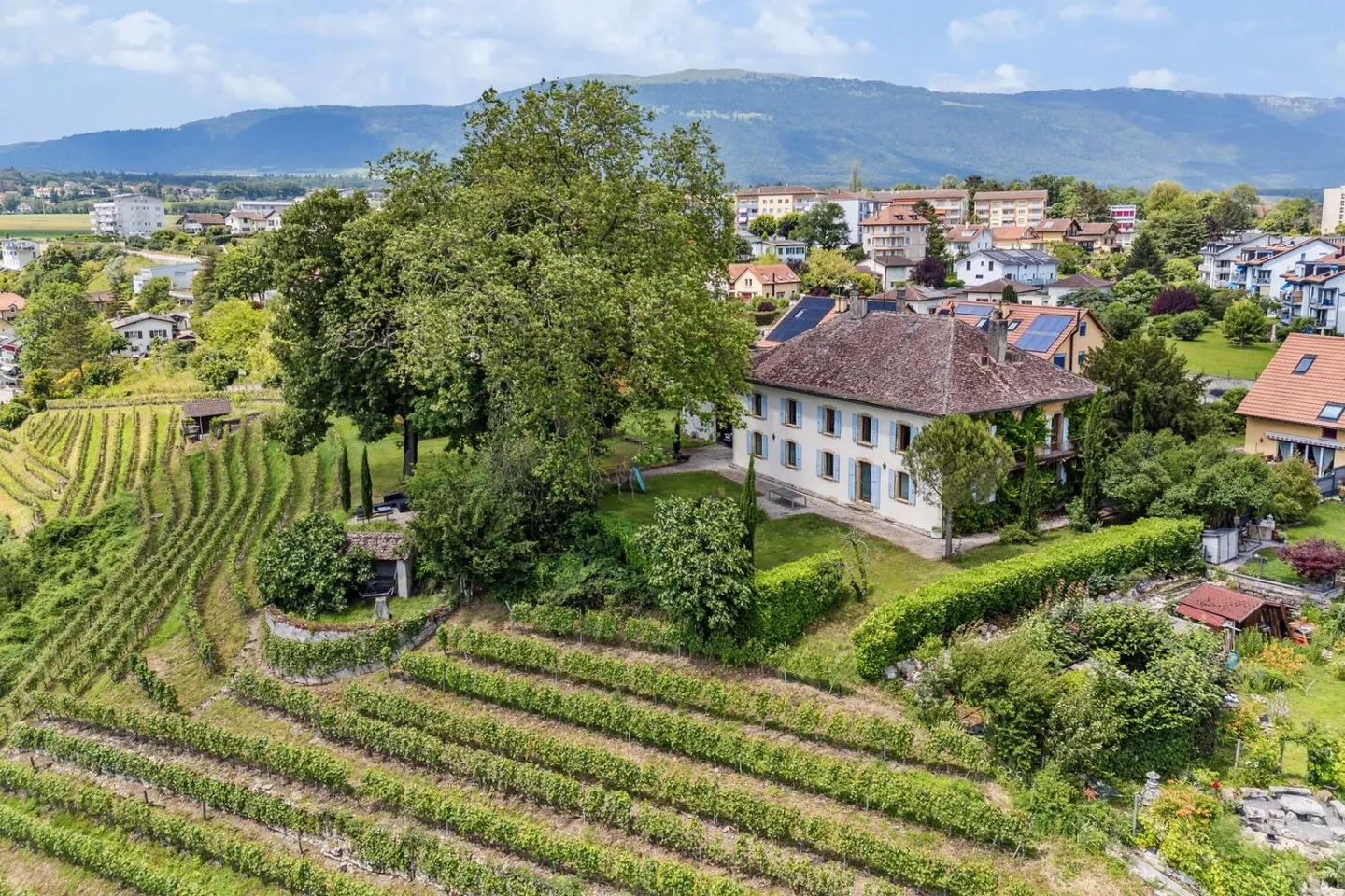 Magnifique domaine historique sur un vignoble ! - Photo 5 sur 13