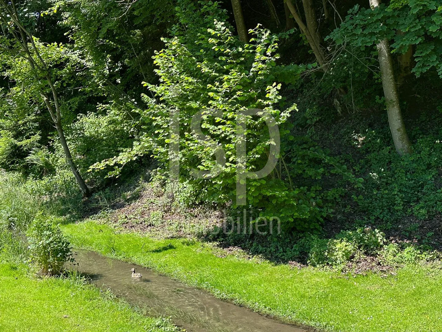 Gewerbeliegenschaft mit Attikawohnung in Neuenegg - Photo 8 of 30