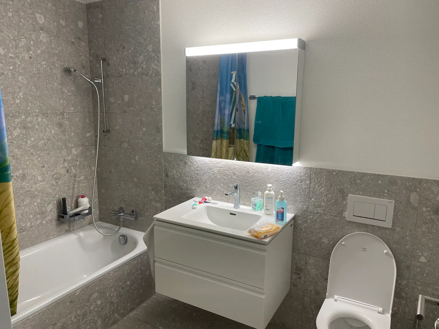 APPARTAMENTO 3½ STANZE A GRÜNINGEN (ZH), ARREDATO, TEMPORANEO - Foto 8 di 10