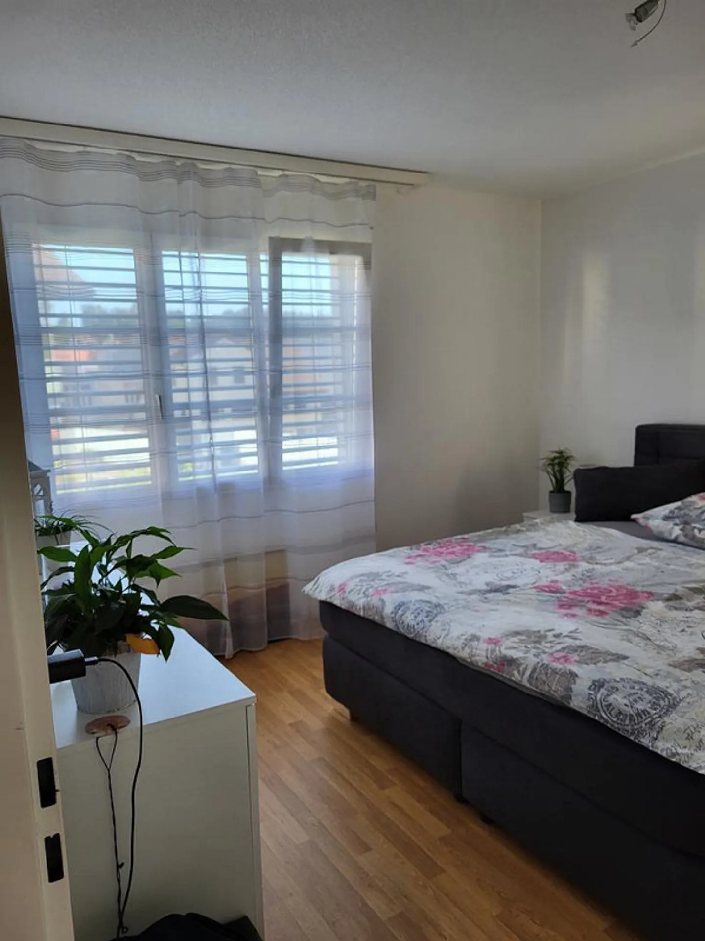 Charmante Wohnung im Herzen von Wolfhausen - Photo 8 of 11
