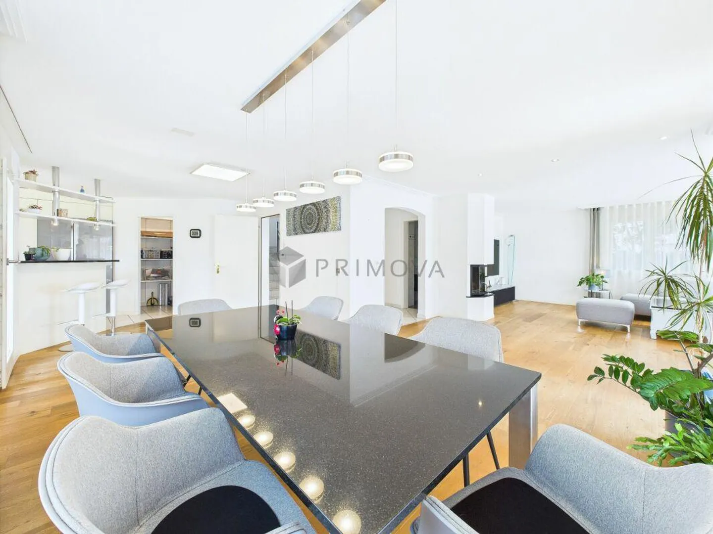 Résidence exclusive avec vue sur le lac - Maison de rêve avec appartement et jardin... - Photo 7 sur 20