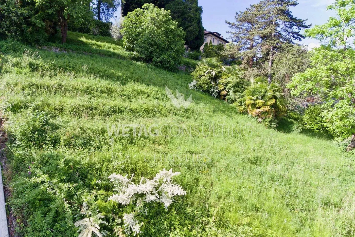 Terrain à bâtir avec vue sur le lac de Lugano dans un quartier résidentiel prestigieux à vendre - Photo 5 sur 9