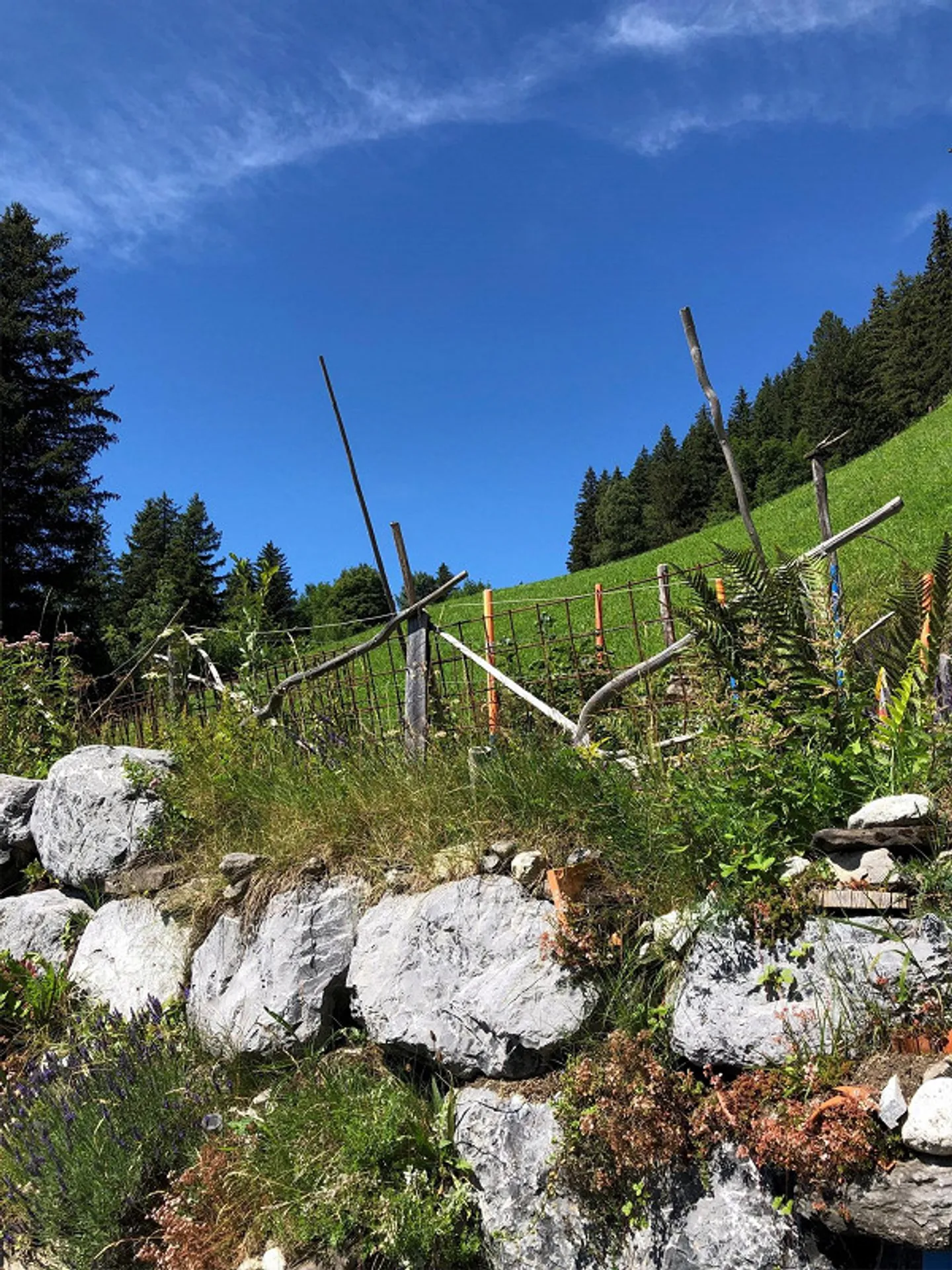 «Adlerhorst» Loin seul en pleine campagne, avec une vue de rêve - Photo 10 sur 12