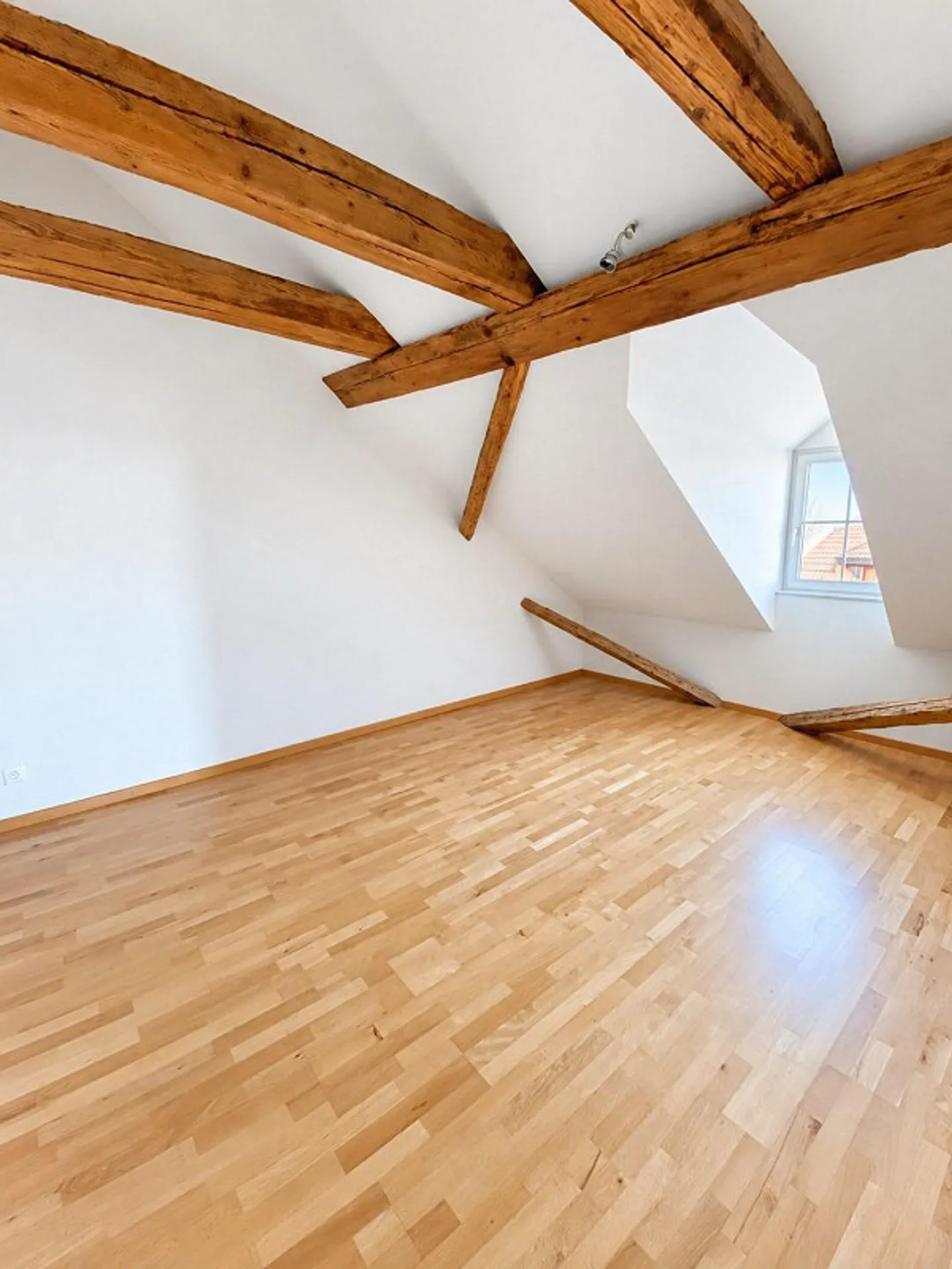 Fully Rented Multi-Family House - Attractive Investment - Photo 9 of 15