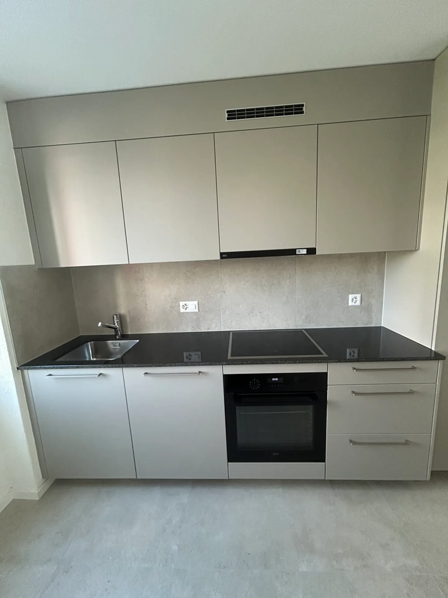Charming Apartment in Crissier - Photo 3 of 10