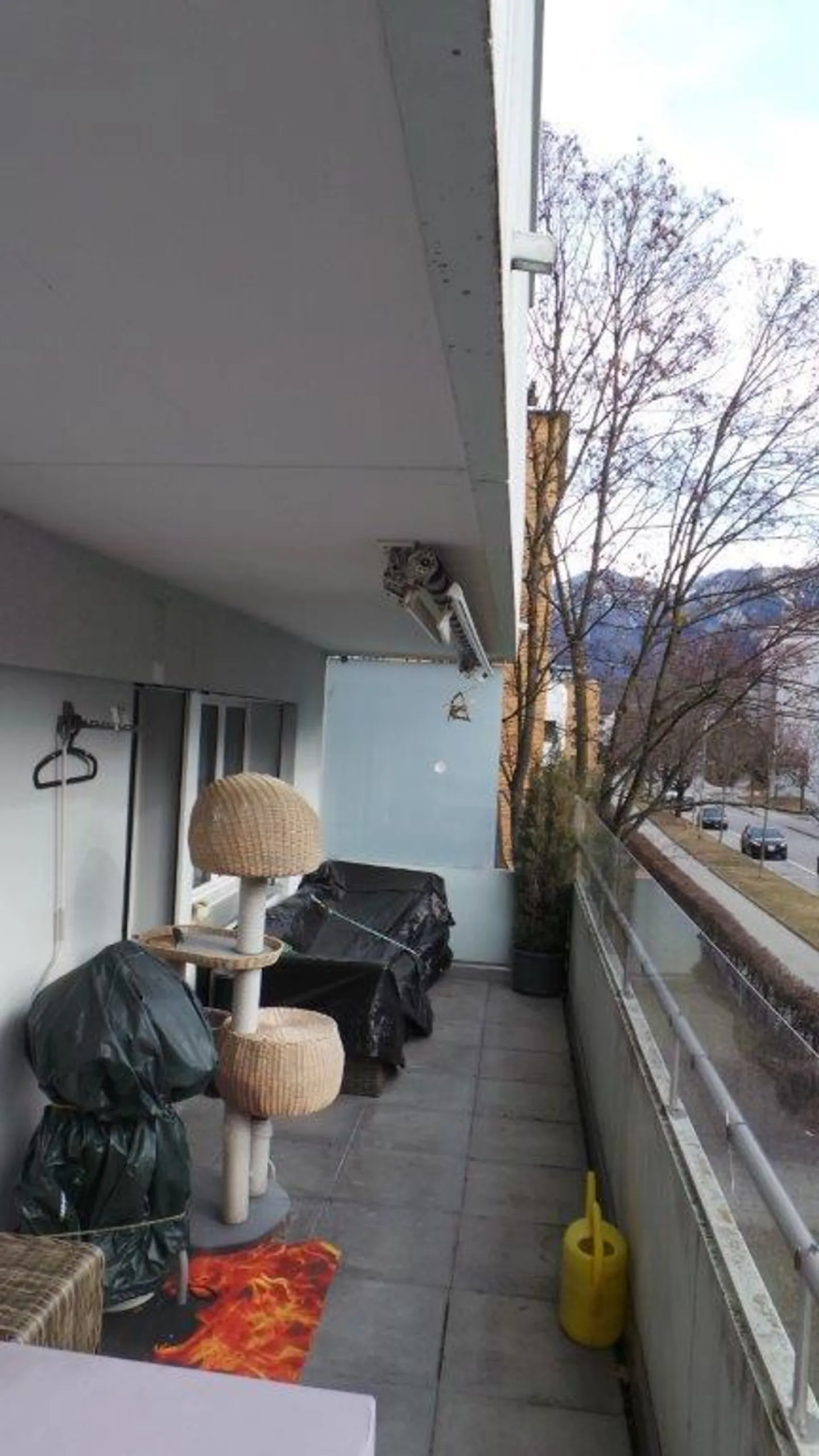 In posizione soleggiata - Foto 6 di 6