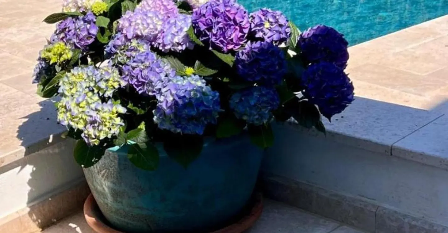 OFF MARKET - Casa familiare Founex - Foto 2 di 2