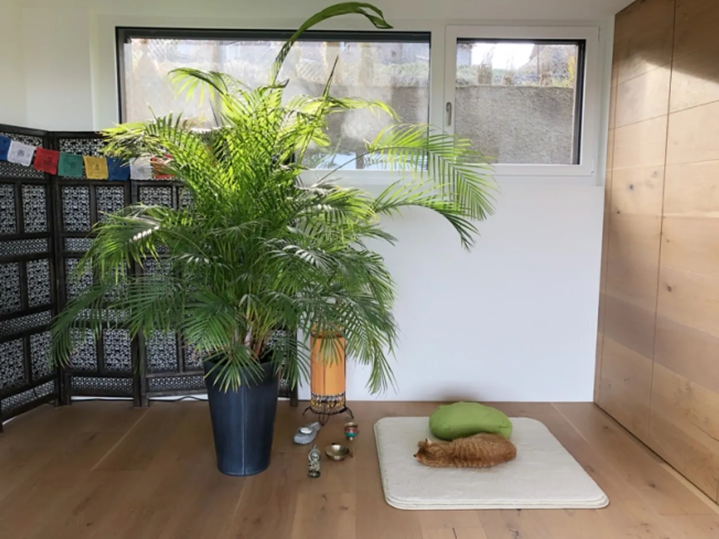 MAISON DE 6½ CHAMBRES À TROGEN (AR), MEUBLÉE, TEMPORAIRE - Photo 10 sur 20