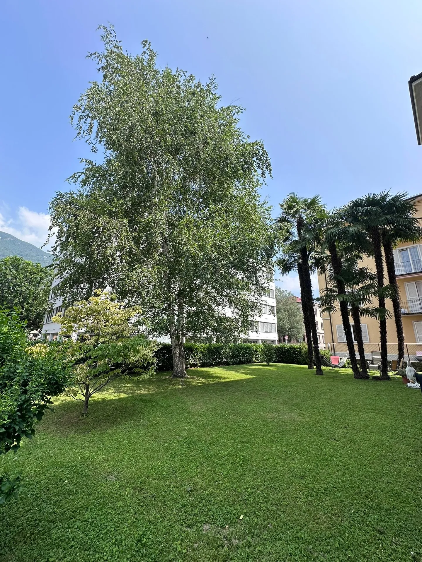 Appartamento in affitto 5,5 stanze completamente ristrutturato in una casa d'epoca - posizione privilegiata - Foto 4 di 11