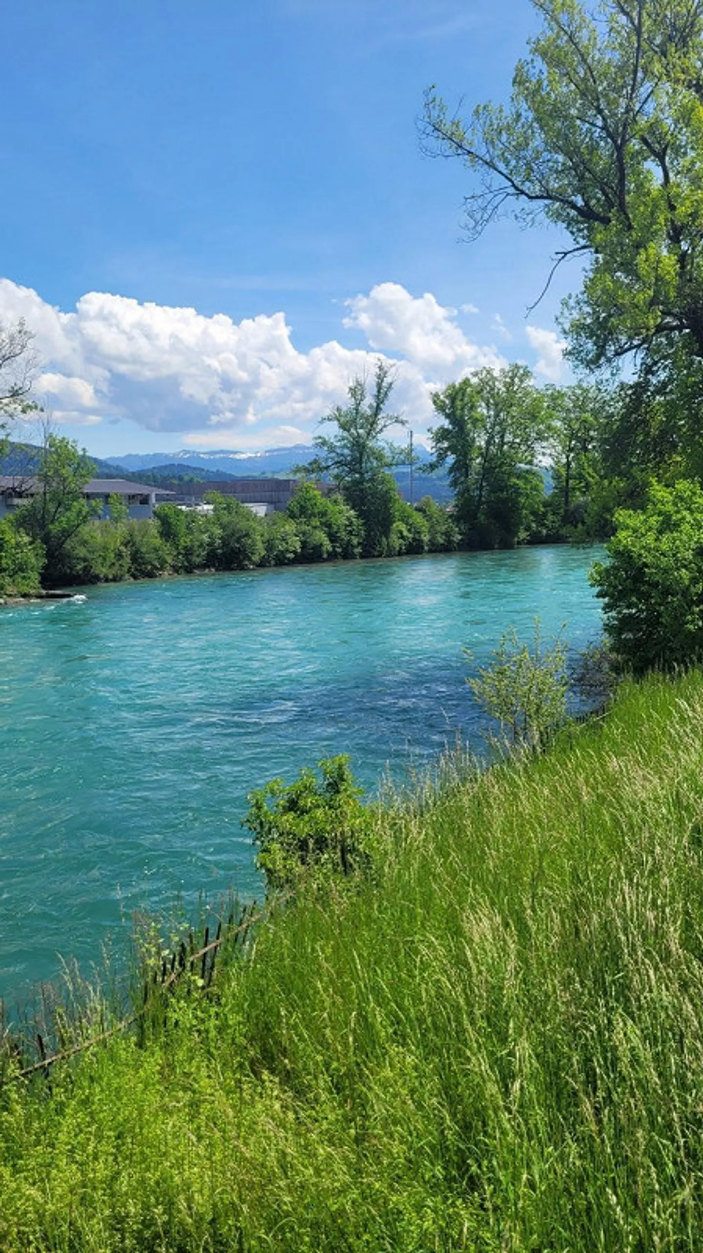 Vivre au bord de la belle Aare verte - Photo 10 sur 10