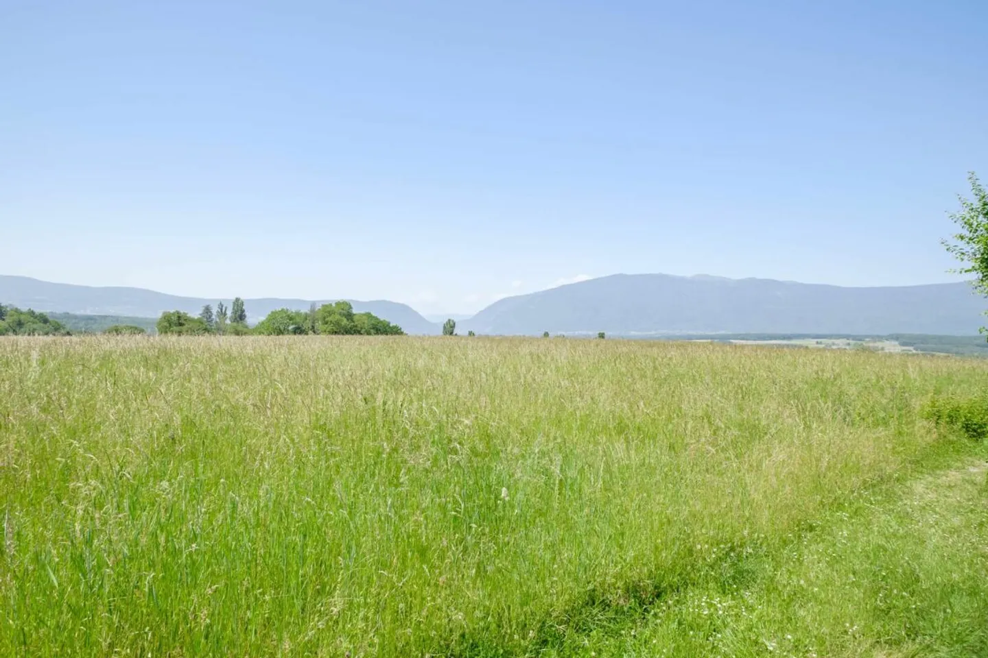 Spacious Duplex with Countryside View - Photo 18 of 18