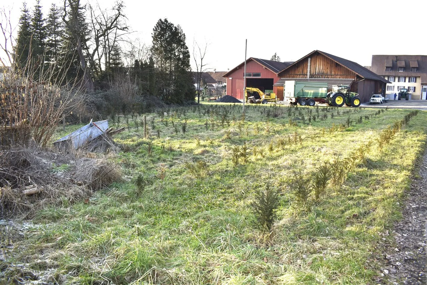 3 Lotti Edificabili nel Villaggio in Posizione Idilliaca - Foto 2 di 7