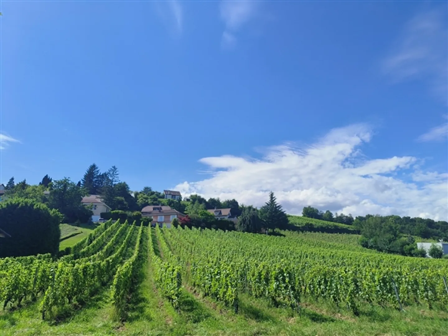 Area Amministrativa con Balcone - 2° Piano - Nuovo Progetto - Foto 7 di 10