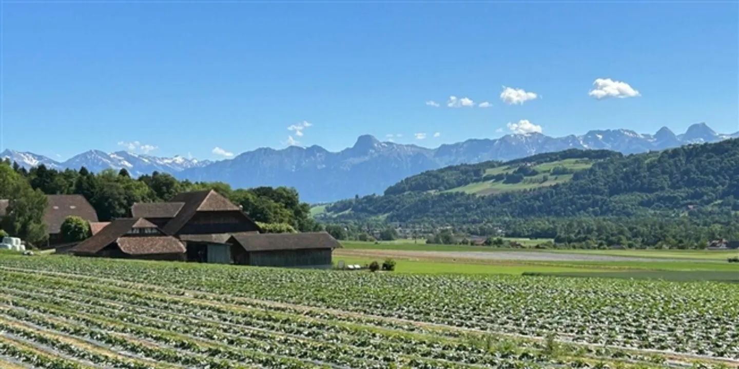 Dreamlike 4.5 room apartment in a quiet, well-kept residential complex - Photo 3 of 13