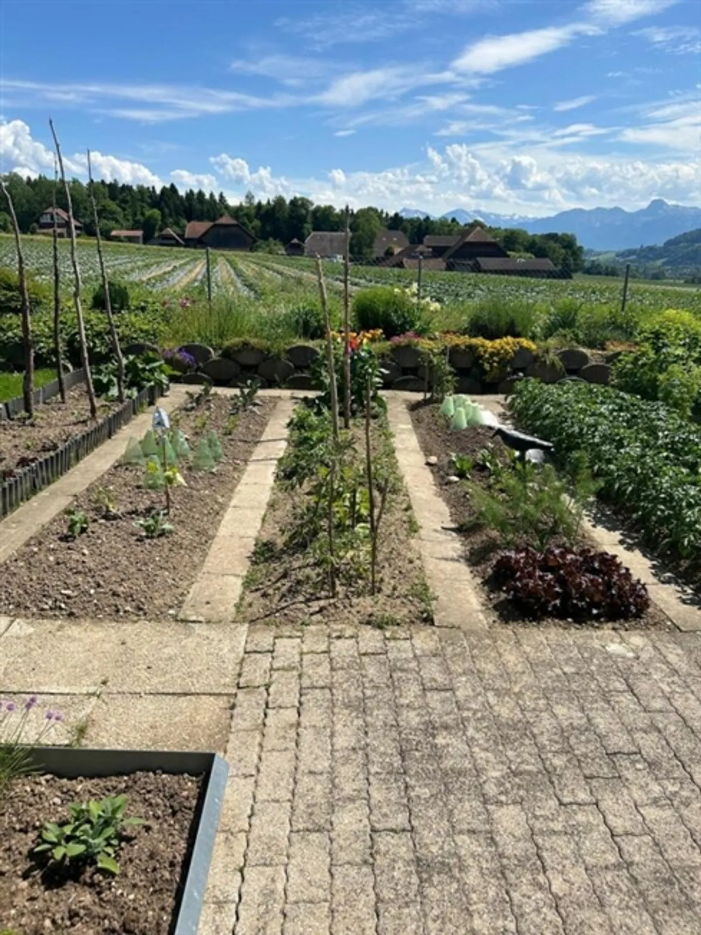 Dreamlike 4.5 room apartment in a quiet, well-kept residential complex - Photo 9 of 13