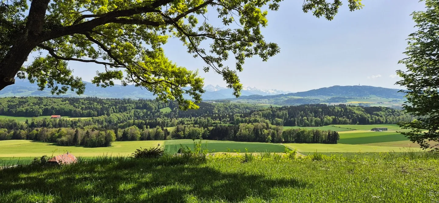 Proprietà eccezionale con vista mozzafiato - Foto 4 di 15