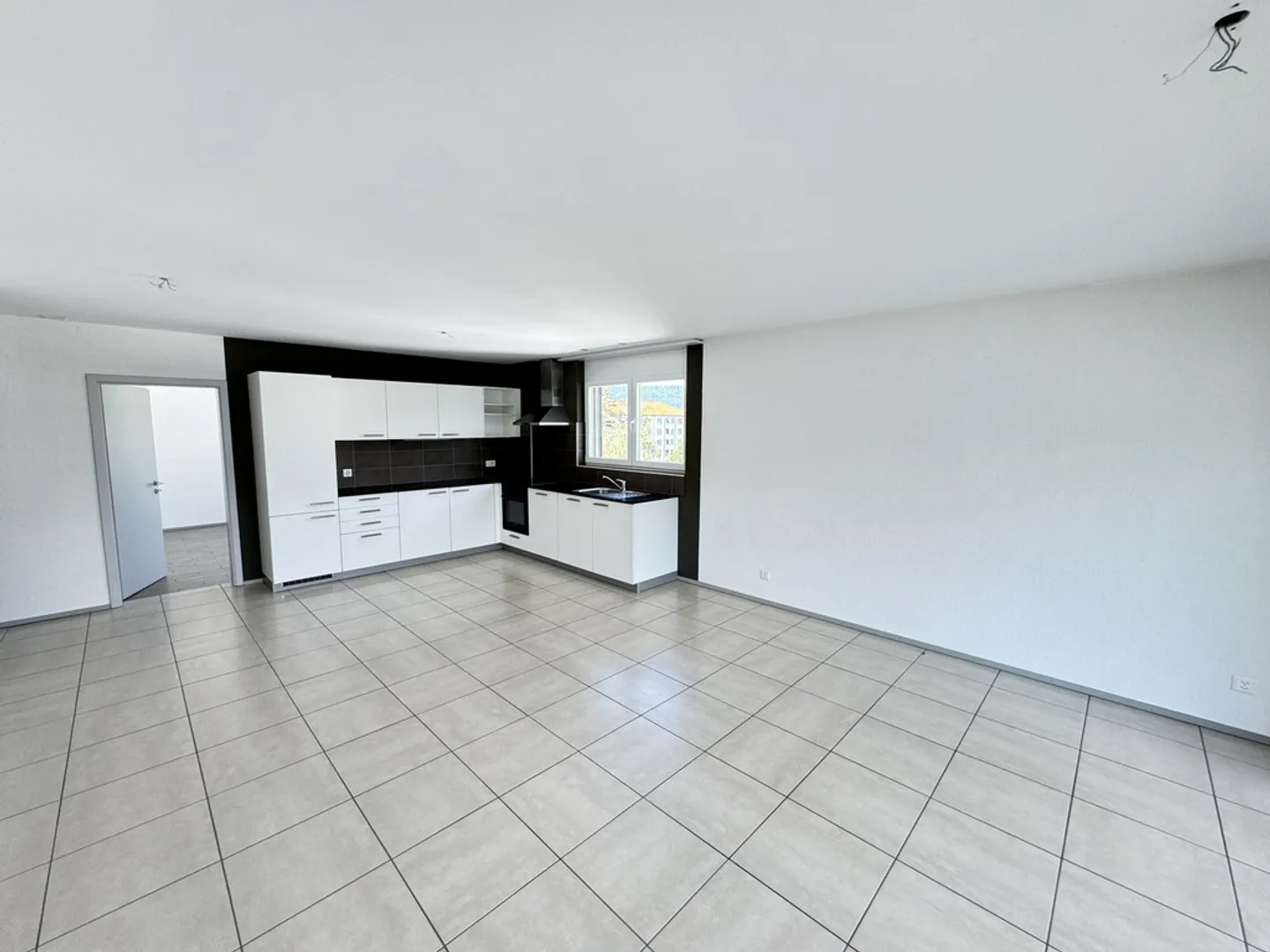 Appartement spacieux avec grande terrasse - Photo 6 sur 12