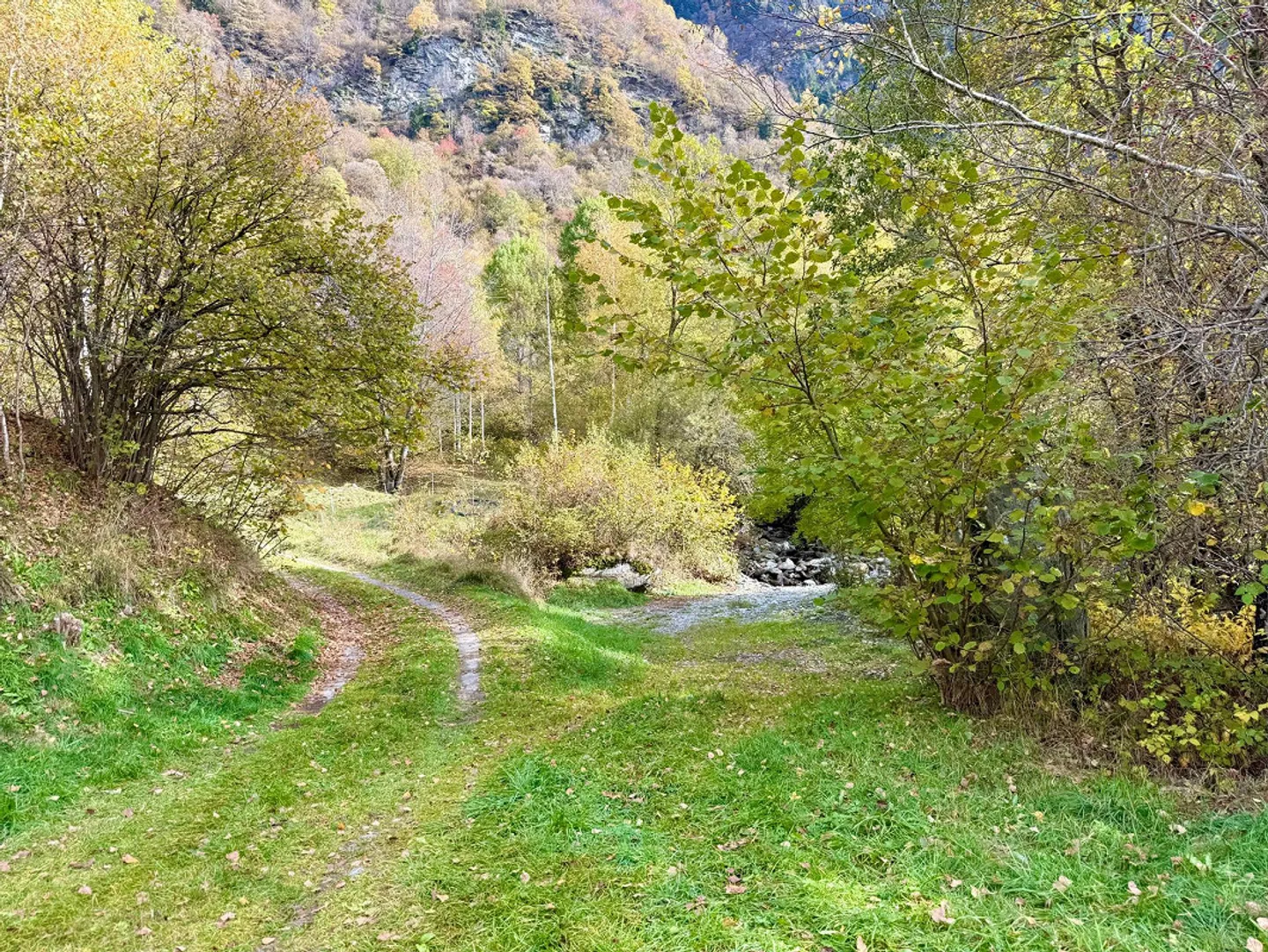Alpine Berghütte auf 900 m mit Privatzufahrt und 21.000 m² Land - Foto 2 von 15