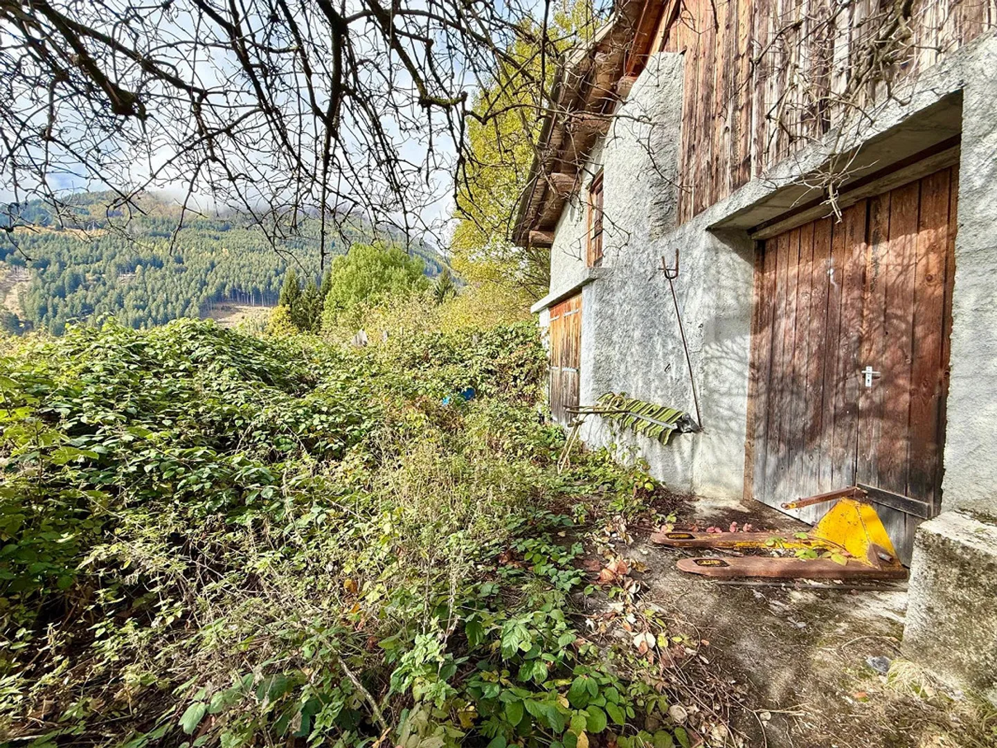 Alpine Berghütte auf 900 m mit Privatzufahrt und 21.000 m² Land - Foto 12 von 15