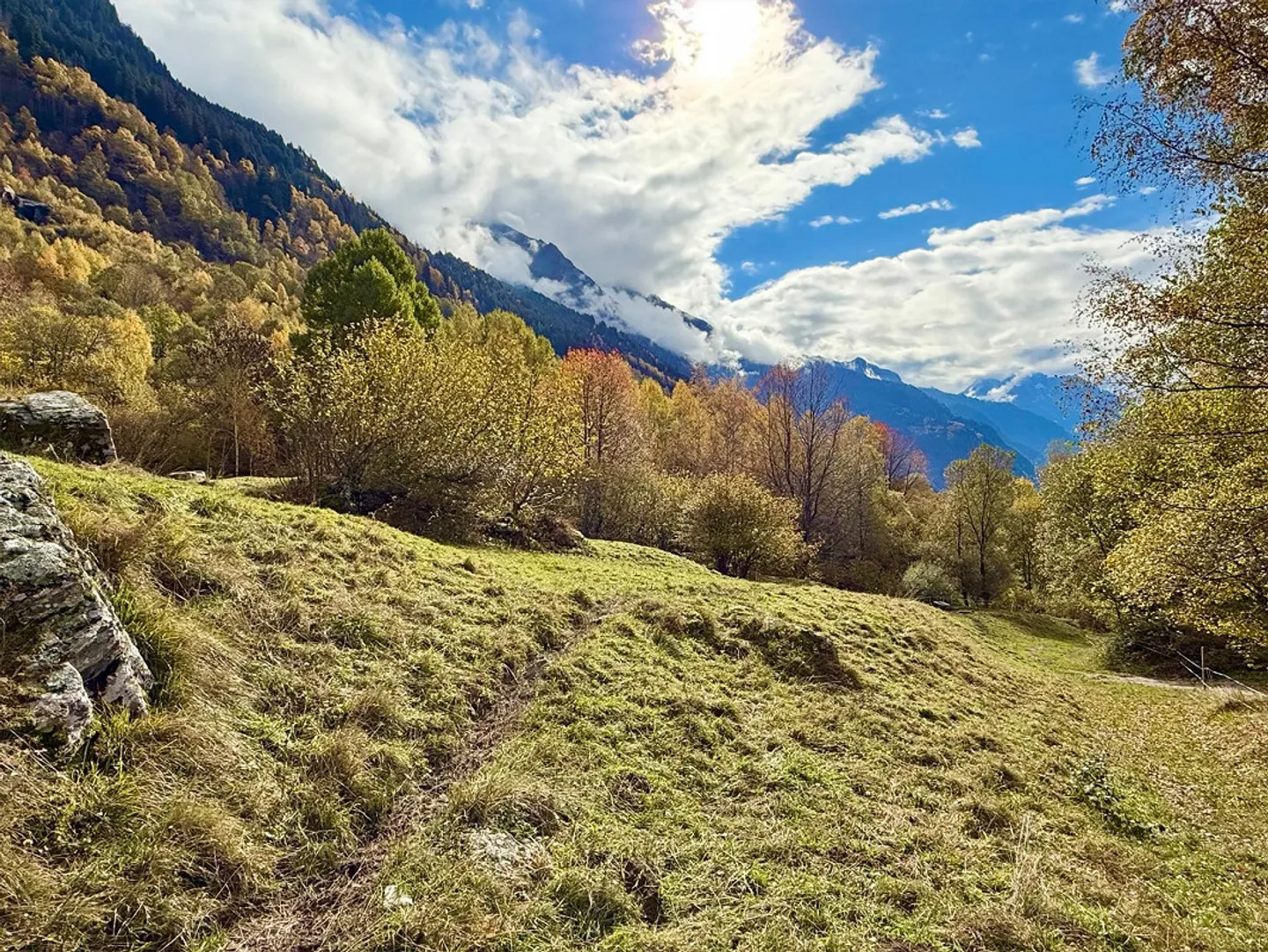 Alpine Berghütte auf 900 m mit Privatzufahrt und 21.000 m² Land - Foto 13 von 15