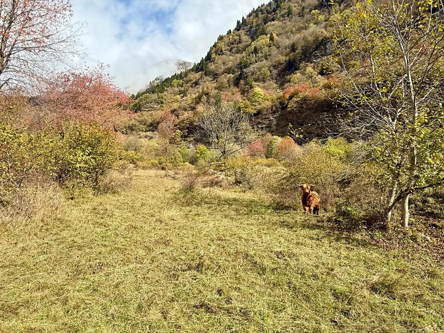 Alpine Berghütte auf 900 m mit Privatzufahrt und 21.000 m² Land - Foto 14 von 15