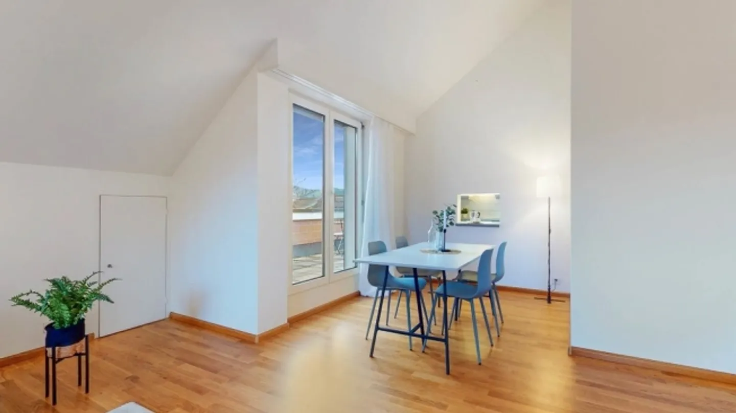 Spacious Family Apartment Seeks New Residents - Photo 4 of 12