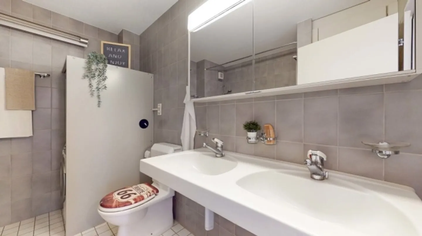 Spacious Family Apartment Seeks New Residents - Photo 5 of 12