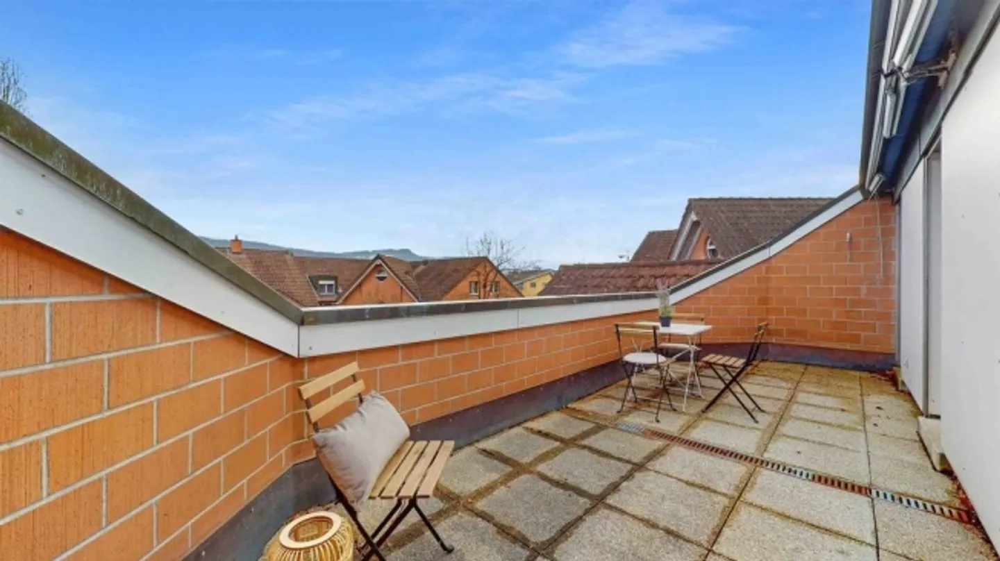 Spacious Family Apartment Seeks New Residents - Photo 11 of 12