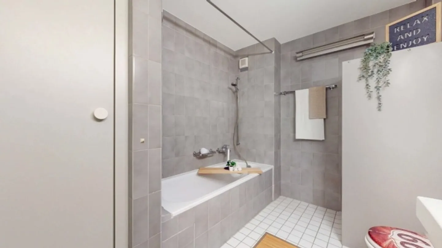 Spacious Family Apartment Seeks New Residents - Photo 6 of 12