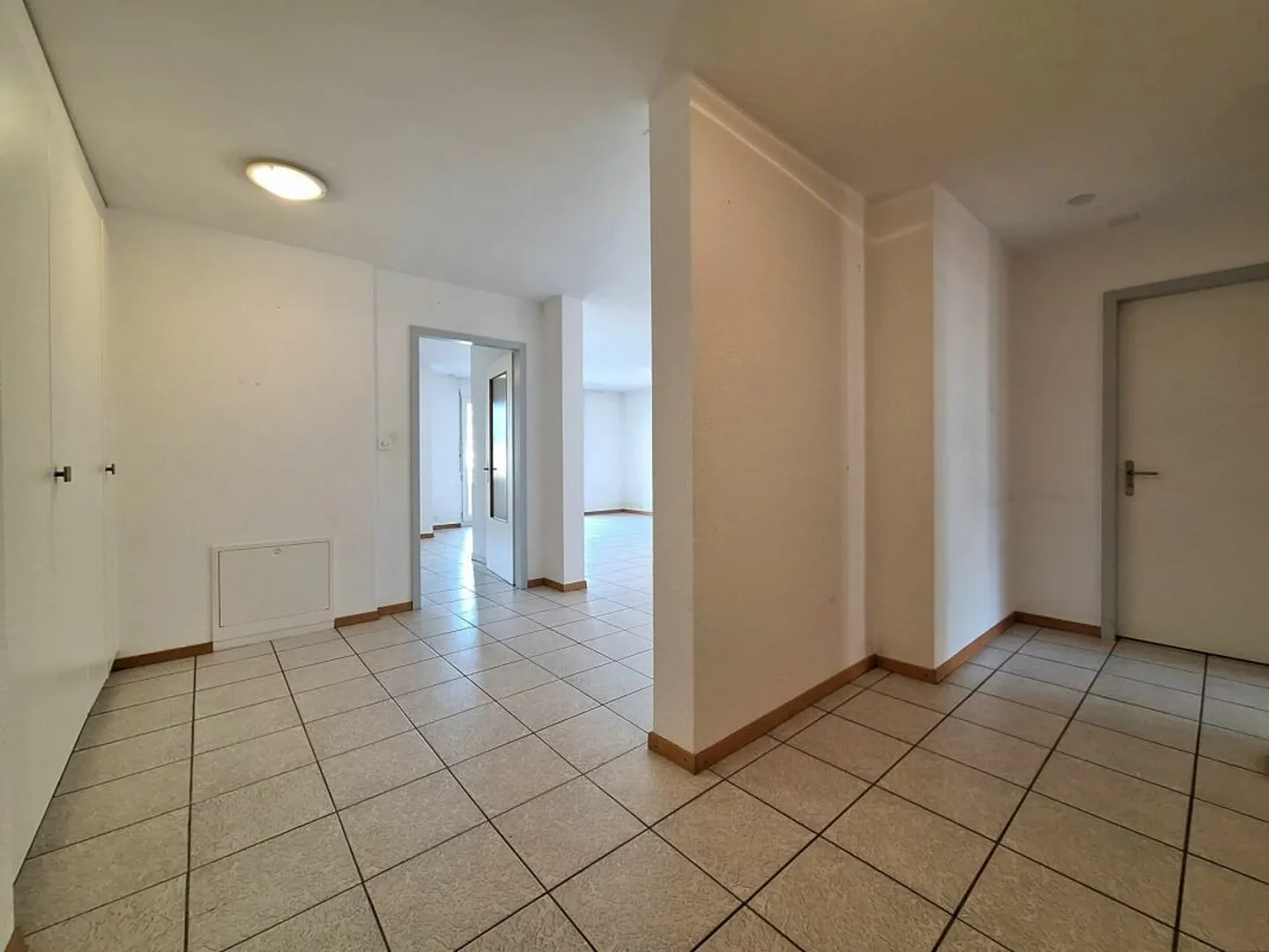 Grand Appartement à Fully - Photo 2 sur 13