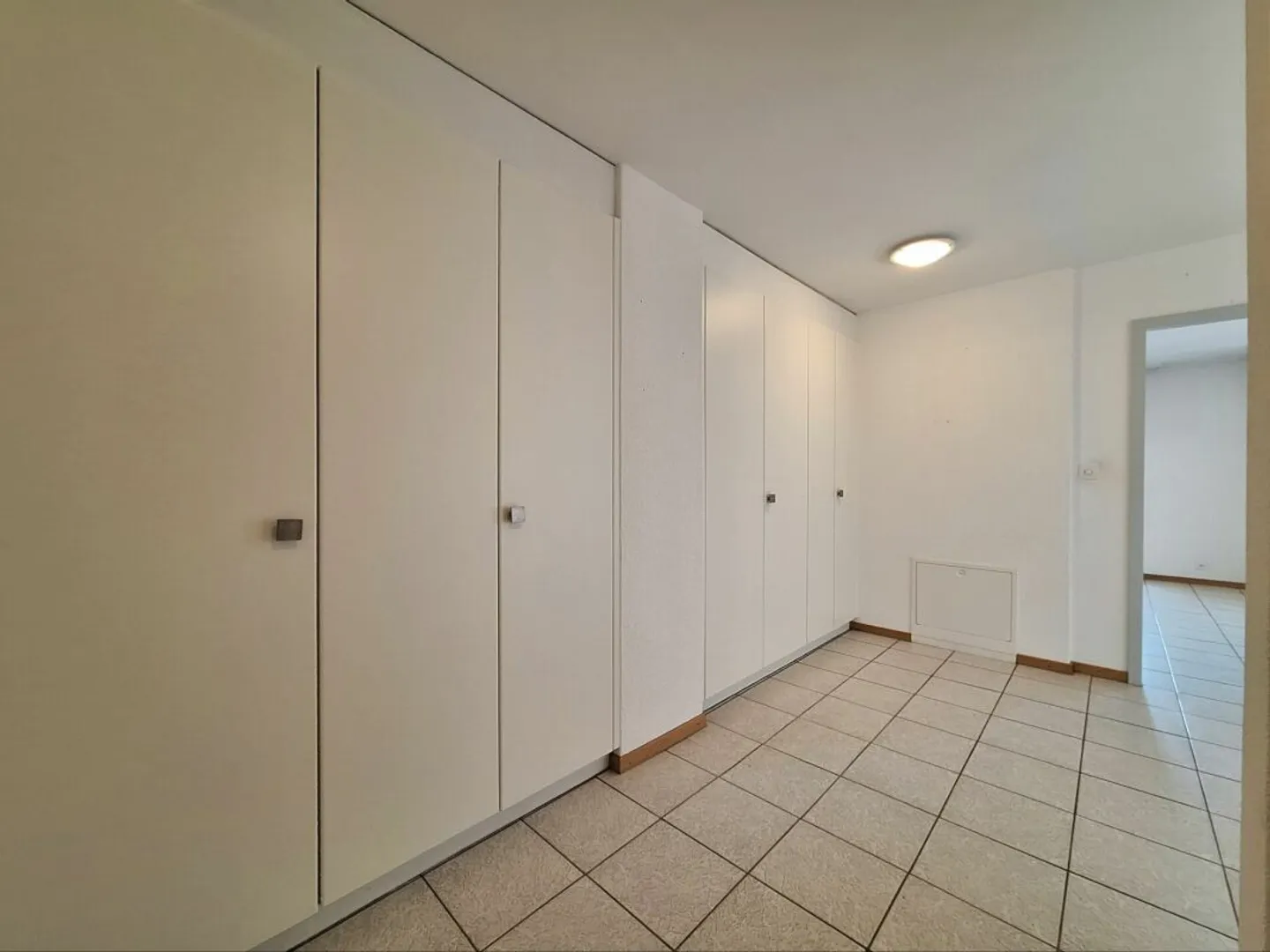 Grand Appartement à Fully - Photo 3 sur 13