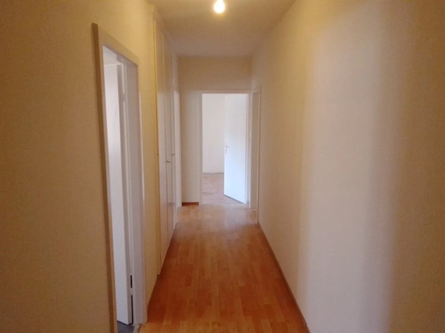 Renovierte Wohnung in ruhiger und schöner Lage zu vermieten - Foto 5 von 5