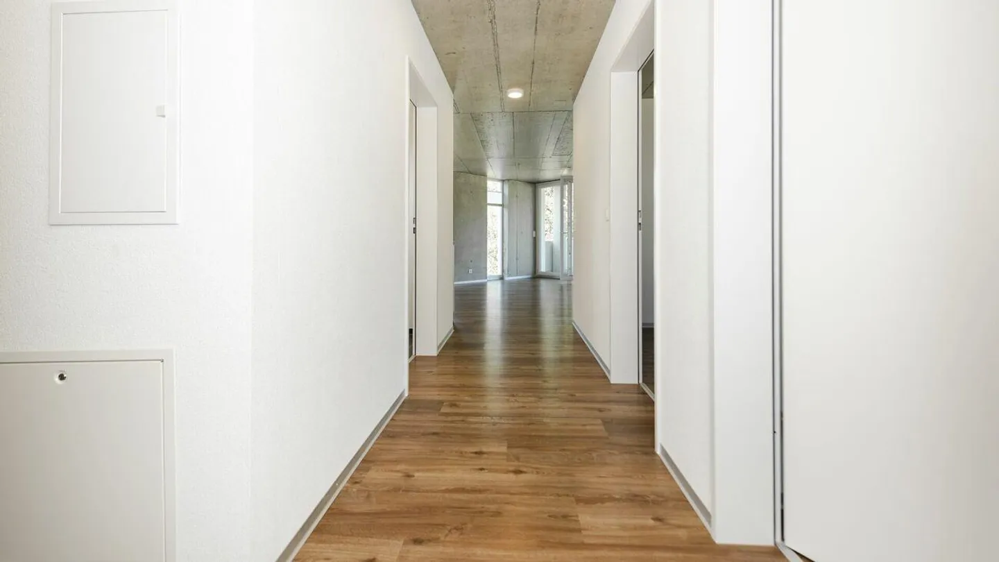 Aesthetic Multi-Family House in Luterbach near Solothurn - Photo 5 of 7