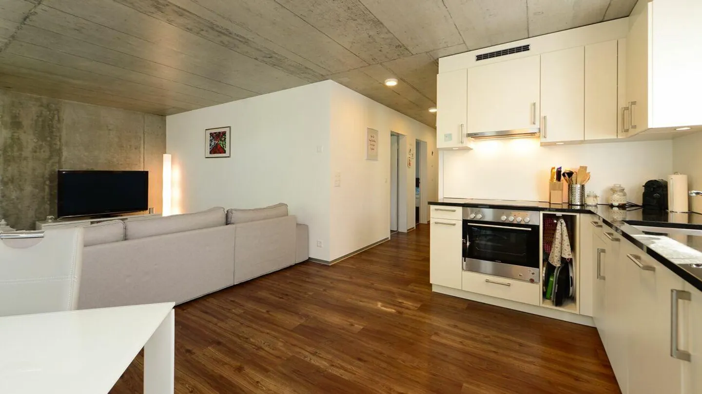 Aesthetic Multi-Family House in Luterbach near Solothurn - Photo 6 of 7