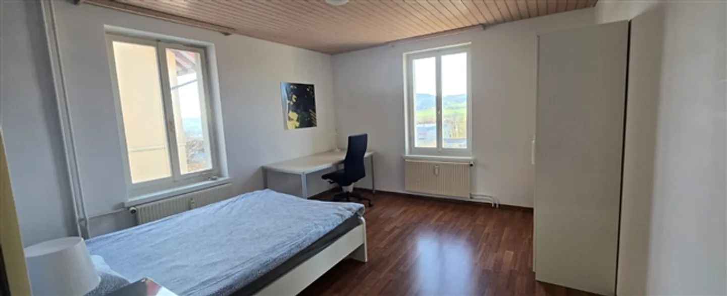 Furnished room centrally located in St. Gallen - Photo 4 of 12