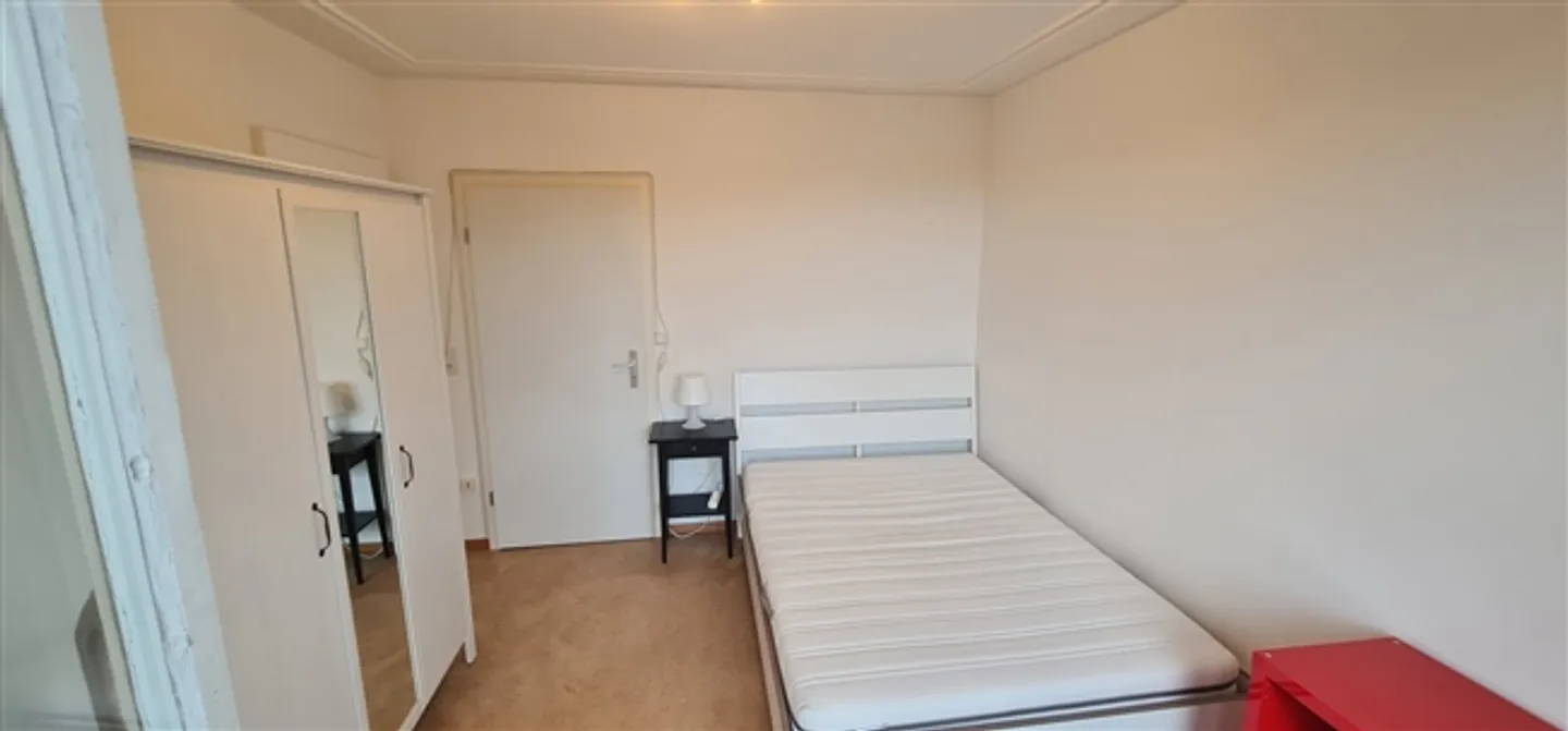 Furnished room centrally located in St. Gallen - Photo 10 of 12