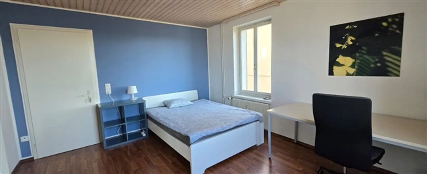 Furnished room centrally located in St. Gallen - Photo 5 of 12