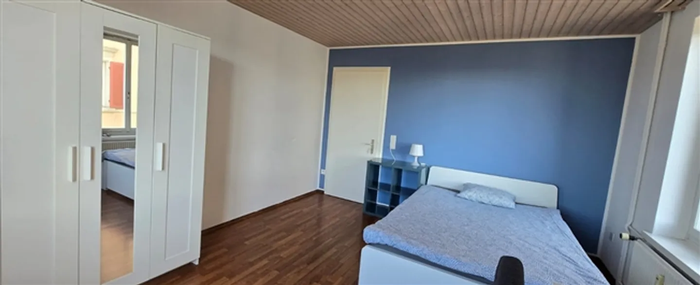 Furnished room centrally located in St. Gallen - Photo 6 of 12
