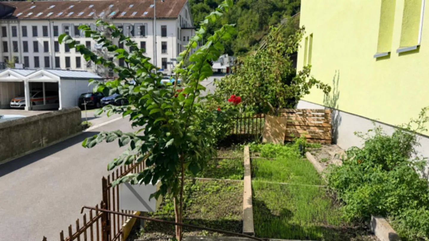 Vielseitiges Doppelhaus in Flums - Foto 4 von 19