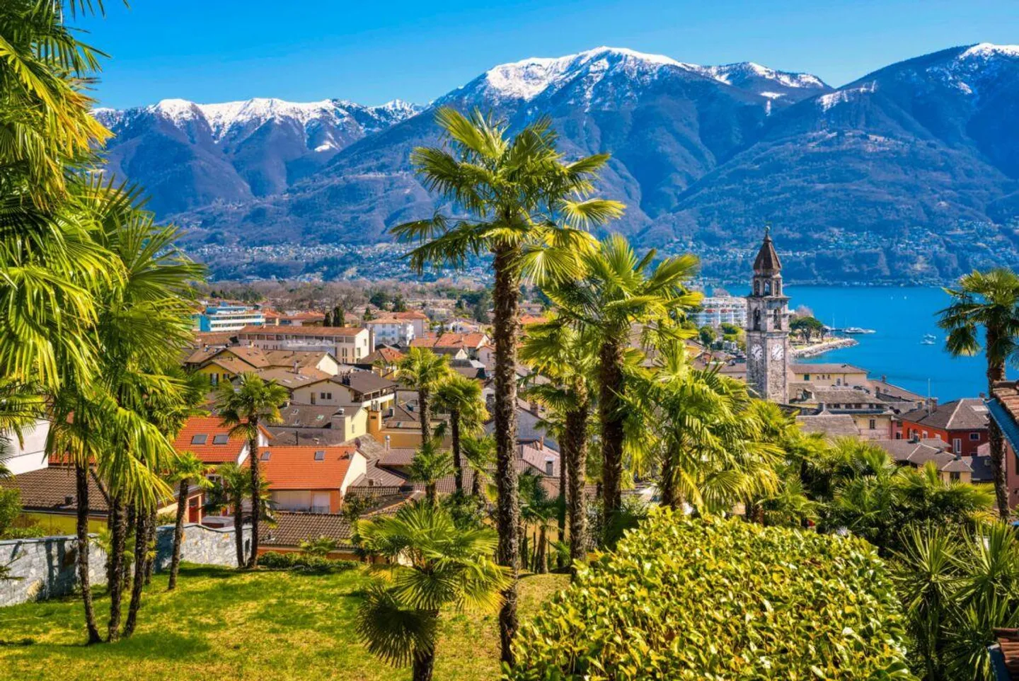 Terreno edificabile in posizione esclusiva - Foto 1 di 2