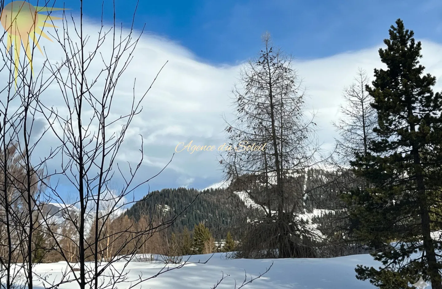 Bel appartamento attraversante, ristrutturato, di 2,5 locali vicino al centro di Crans! - Foto 1 di 16