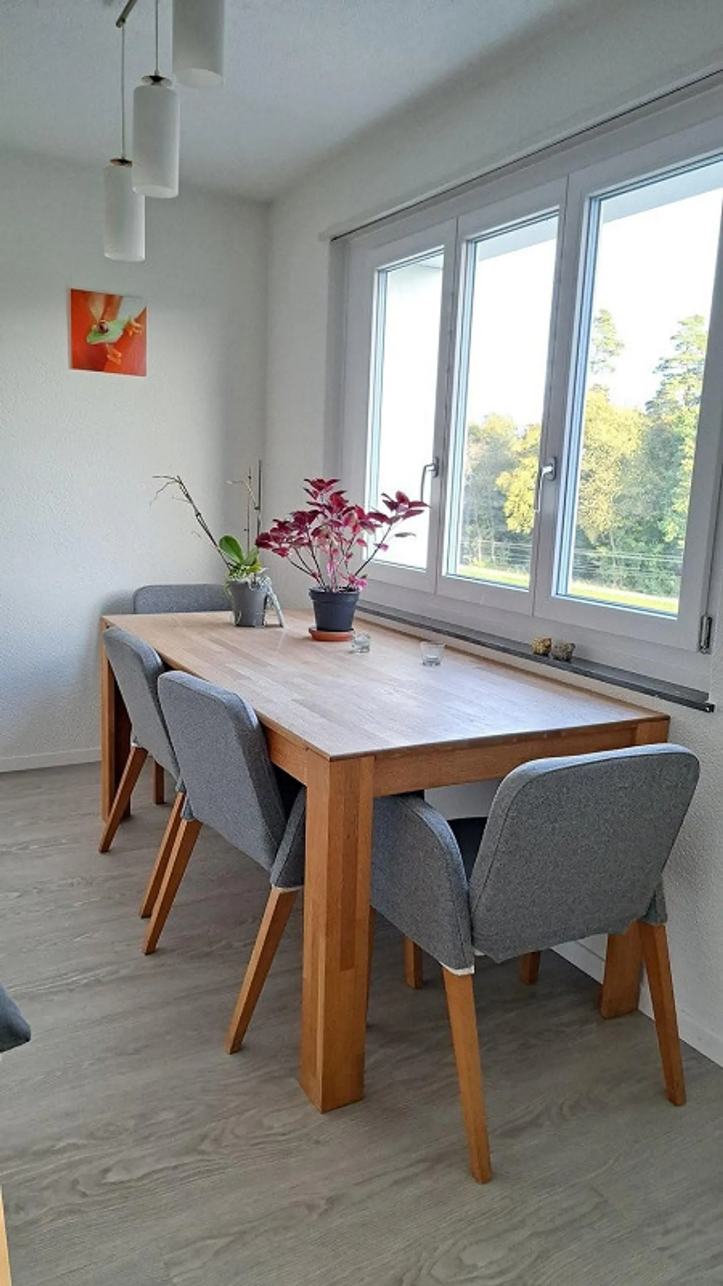 Helle Zentrale Wohnung - Foto 3 von 8